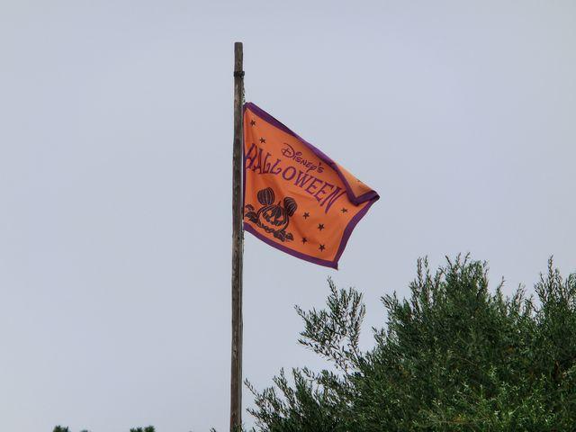 �n���E�B���̊�(�f�B�Y�j�[�E�����h)