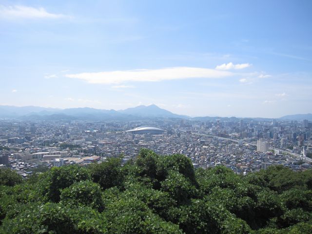 ���q�̒�����