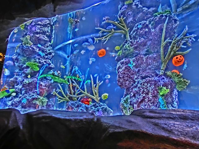 ���C���t�H���X�g�J�t�F