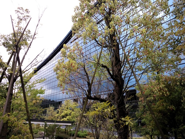 ��B����������