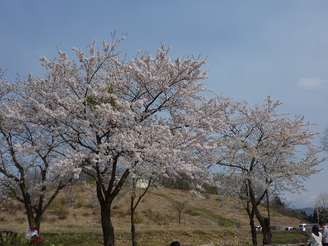 �։z�����ԓ�(����)�ԏ鍂���r�` 