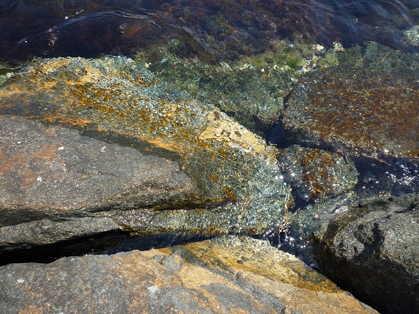 �l���֊C������ 