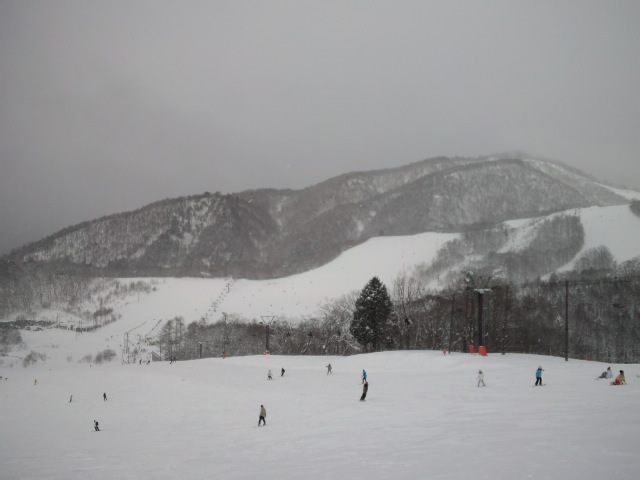 �T���A���s�i������