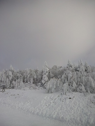 �����X�L�[�p�[�N