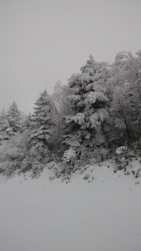 �����X�L�[�p�[�N