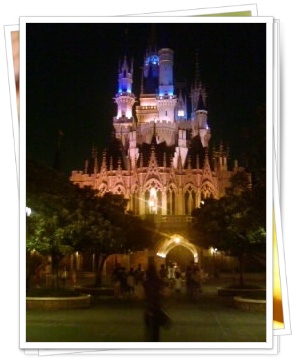 �V���f������