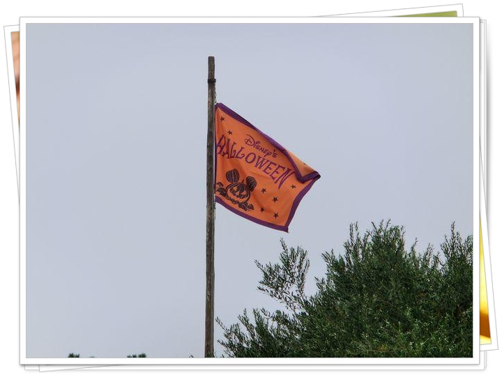 �n���E�B���̊�