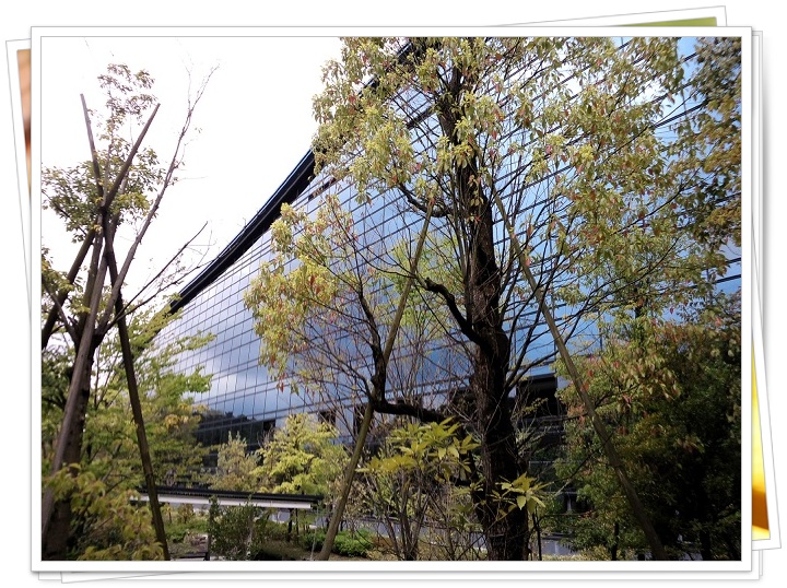 ��B����������