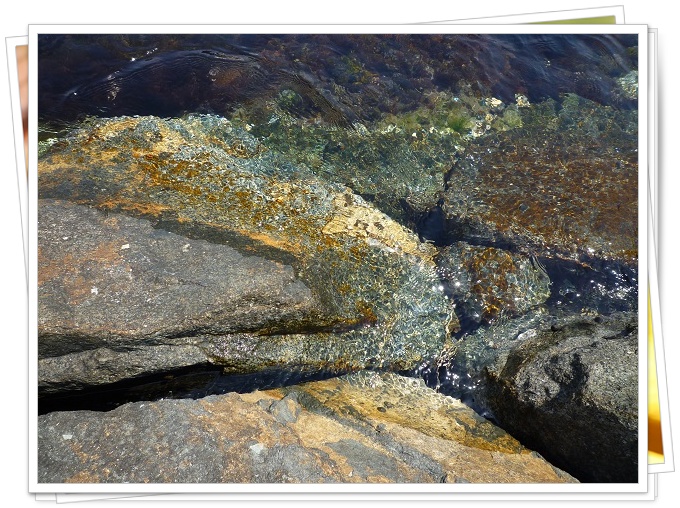 �l���֊C������