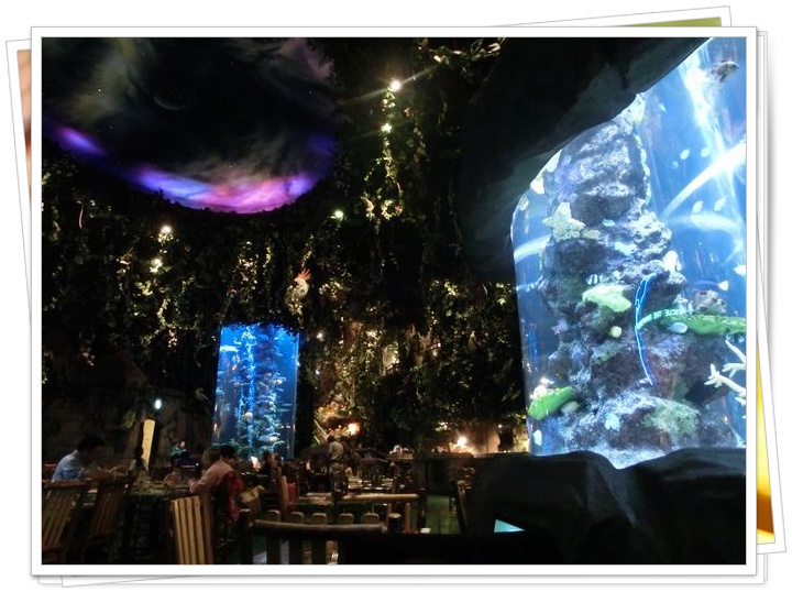 �G���g�����X