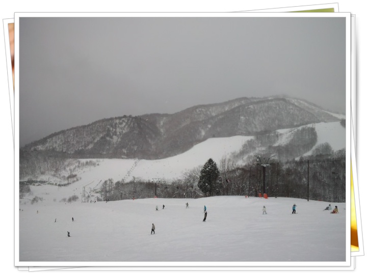 �������X�|�[�c���B���b�W