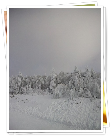 �����X�L�[�p�[�N