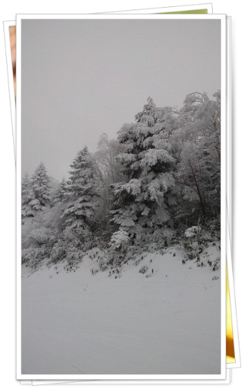 �����X�L�[�p�[�N